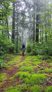 Rider in the fog on Fork Mtn trail.  Photo by Mike Boyes.