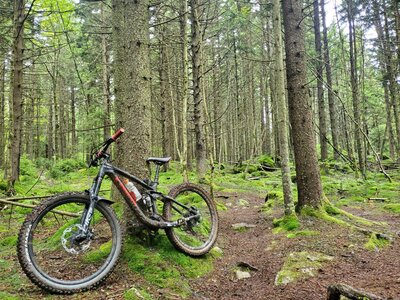 The loam of Enchanted Forest was a nice break from the mud.
