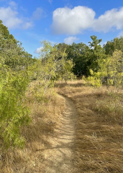 Bauerle Ranch XC Loop.