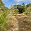 Bauerle Ranch XC Loop.