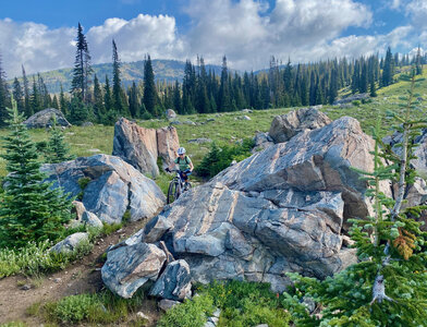 One of the fun features on Buffalo Billy.