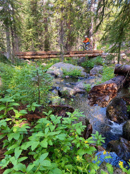 Beautiful bridge on Buffalo Bills.