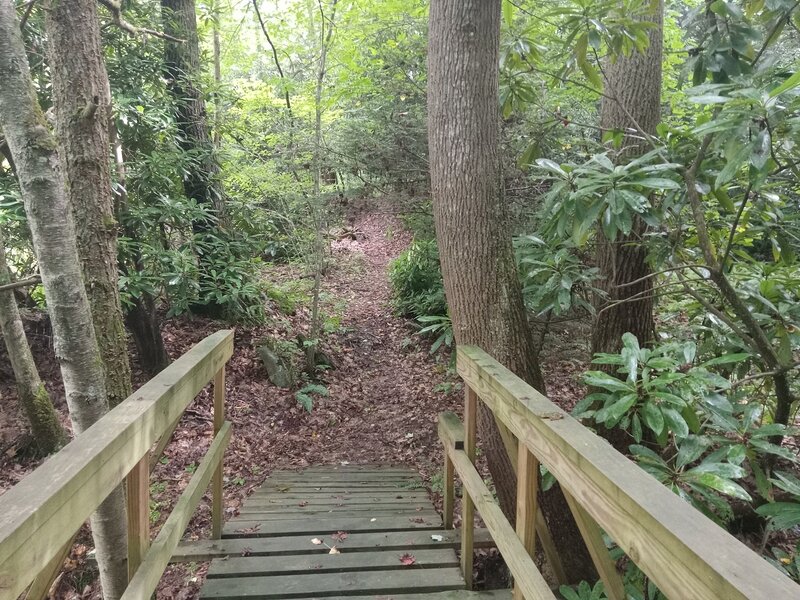 Bridge crossing over Mill Branch at bottom of ridge. To the right of the 2 trees (on the right) is the short  path to the Mill Branch Waterfall. Straight ahead is a short uphill. At the top is the end of the trail.