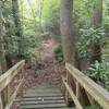 Bridge crossing over Mill Branch at bottom of ridge. To the right of the 2 trees (on the right) is the short  path to the Mill Branch Waterfall. Straight ahead is a short uphill. At the top is the end of the trail.