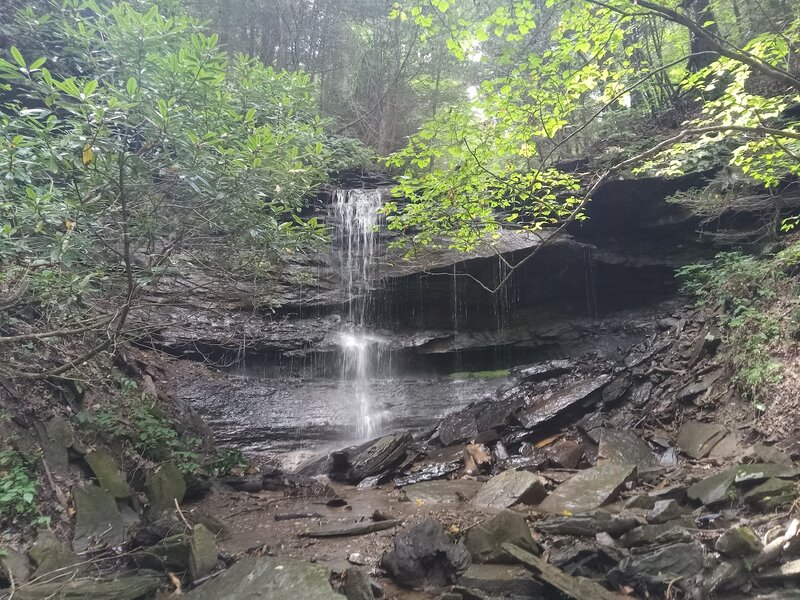 The Mill Branch Waterfall. Splendid gem.