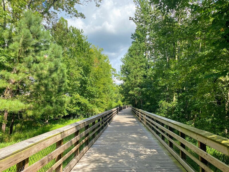 Nice boardwalk through the forest.