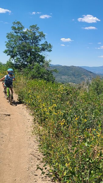 Beautiful trail!