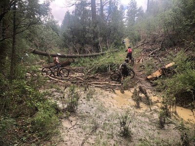 One of many muddy stream crossings on last quarter of 100 mile segment. This one was unrideable.