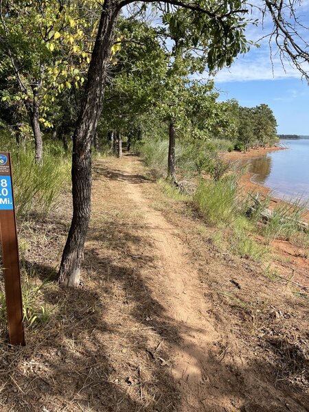 Blue trail along lake.