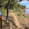 Blue trail along lake.