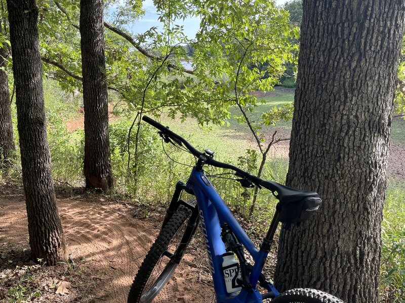 Blue loop by the lake.