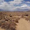 Rambling down the sandy trail.