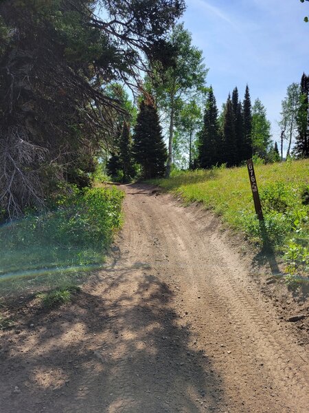 The start of FS 076 down to Castle Lake, looking West.