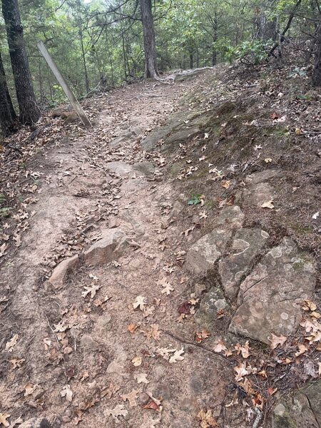 Nice uphill section with rocks.