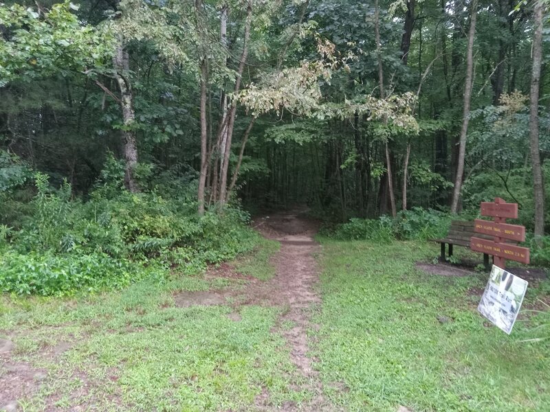 Start of the Gray Flats North Trail at a intersection.