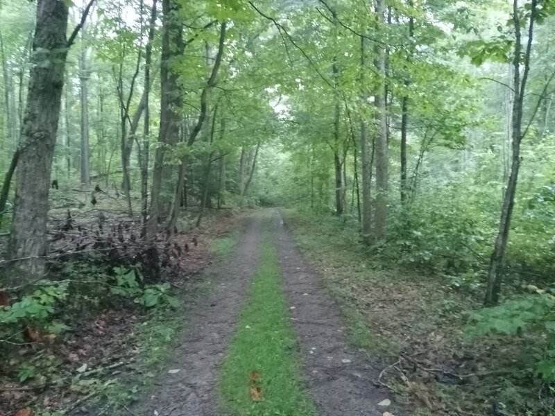 Doubletrack on Gray Flats South.