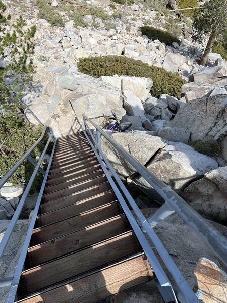 The stairs at the lookout tower almost qualify as a ladder.