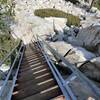 The stairs at the lookout tower almost qualify as a ladder.