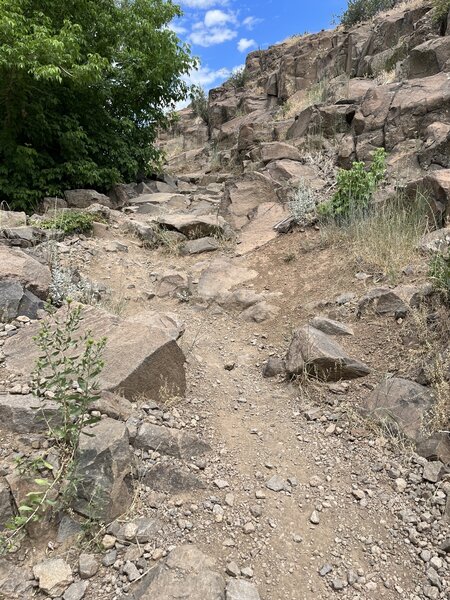 Rocky section on N. Table Loop, southside downhill.