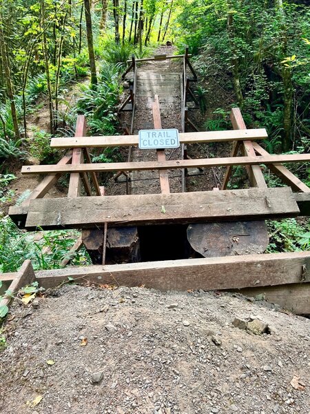 Broken bridge; note new path to the left.