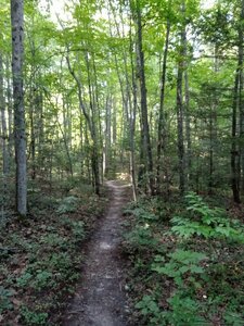Past  Start of Piney Bluff Trail.