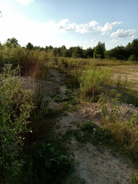 Once you get to the big jump section, the trail will pick up on the side of a steep hill on Roller Coaster.