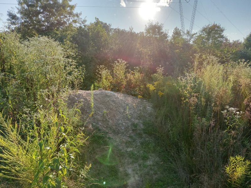 The alternate line to the steep downhill is this big Jump. (Roller Coaster).