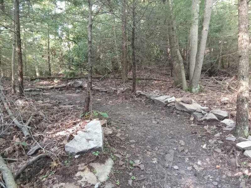 A nice singletrack turn on the Boulder's Edge.