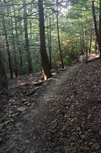 Sweet Singletrack on Boulder's Edge.