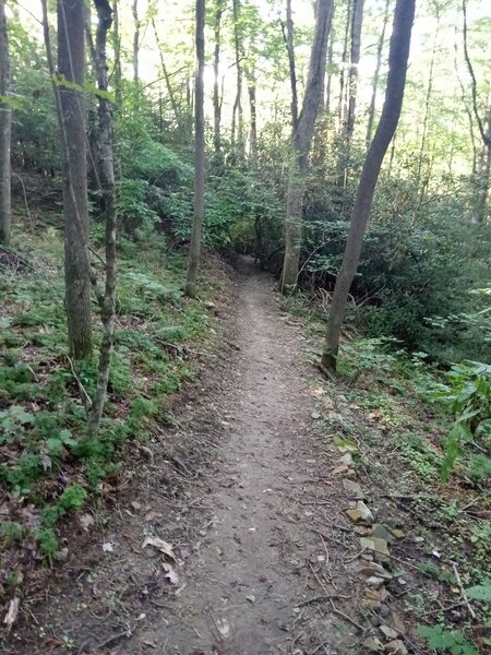 Beautiful trail on Boulder's Edge.