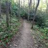 Beautiful trail on Boulder's Edge.