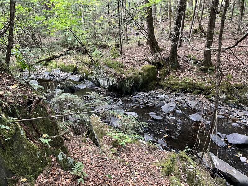 Mill Brook near Blueberry trail.