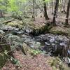 Mill Brook near Blueberry trail.