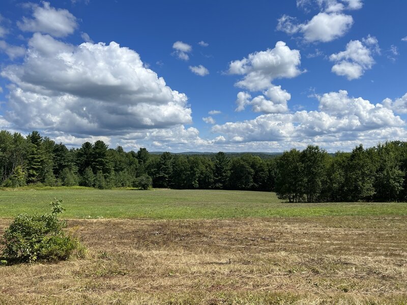 View to the East from S Central St near entrance to Blueberry trail - Page Tree Farm.