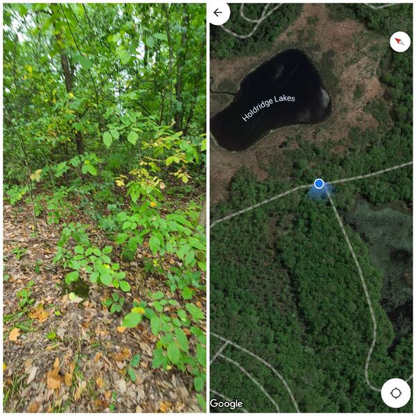 Trails are really inaccurate on Google. Use this app or all trails.