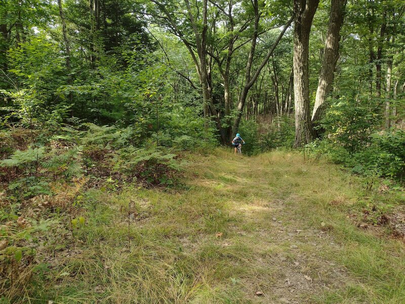 Start of Plantation Trail (West end) has a short climb in the beginning, and a few places early on.  Most of trail is flat or down toward the East.