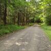 Another gravel road connecting the singletrack course for the Laurel Classic.