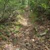 Steep, loose and rocky down an old washed out logging road.