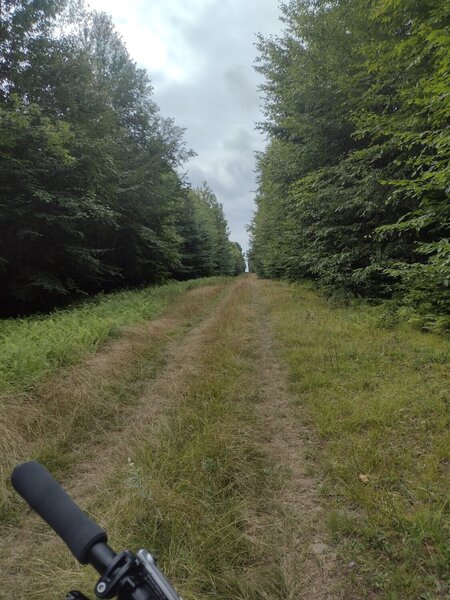 Grassy doubletrack connector.