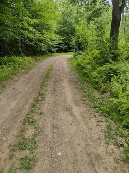 More gravel roads connect the singletrack.