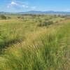 View Down the Iron King Trail Towards Prescott Valley.