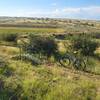 View Across the Agua Fria Headwaters.