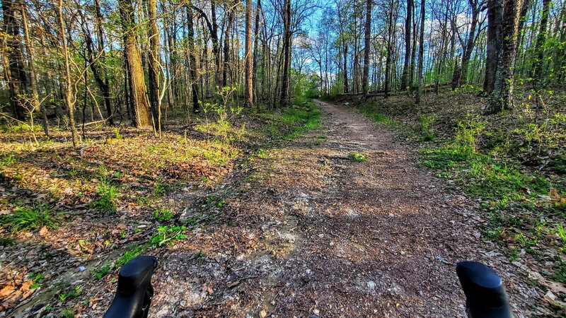 Sandy/rocky wooded trail.