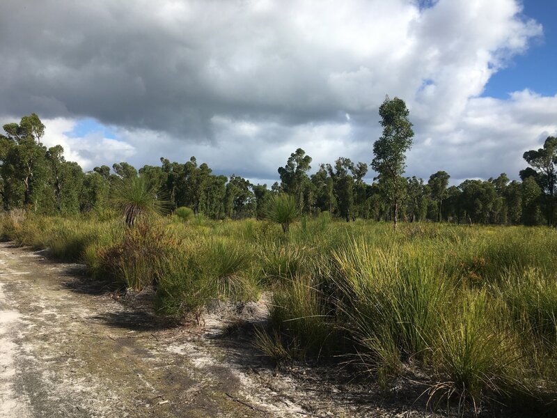 A change in scenery with this sandy plain.