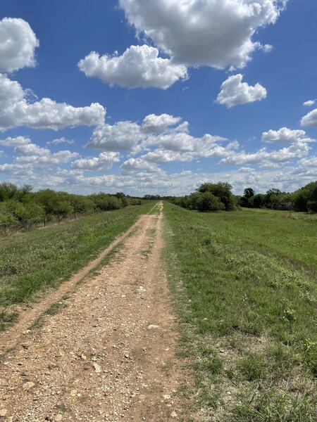 Straightaway in the first couple miles of the blue trail.