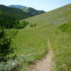 Descending west through mixed meadows and forest to Thain Creek Campground.