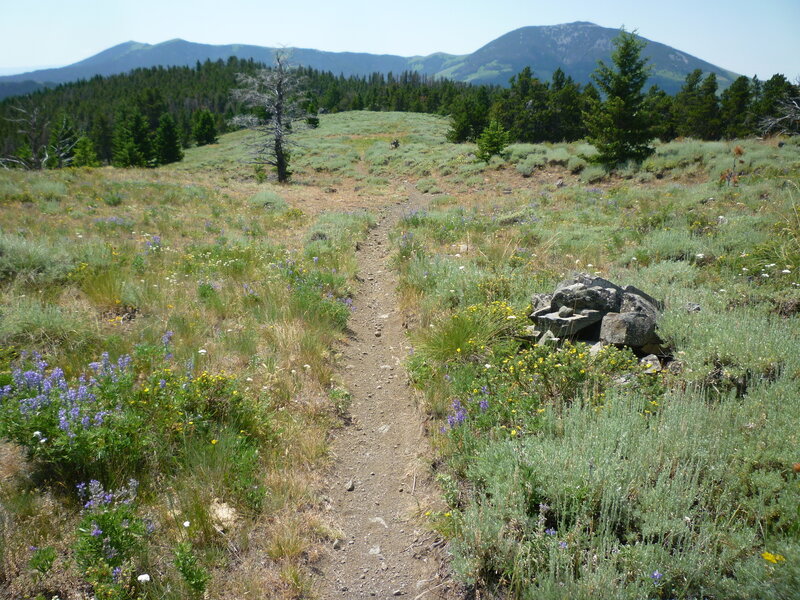 Southbound on Marie Spring Trail; cairns unncessary here but some sections may be obscure to those unfamiliar.