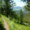 Southbound on Marie Spring Trail, shortly after the Briggs Creek junction; Highwood Baldy in distant center.