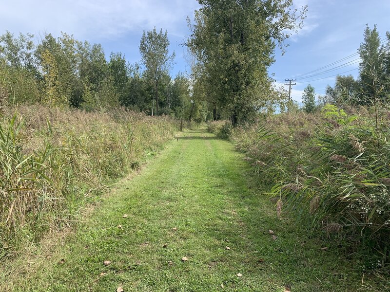 Parc Le Rocher, passage longeant la rue Auger sur le sentier La Boucle.