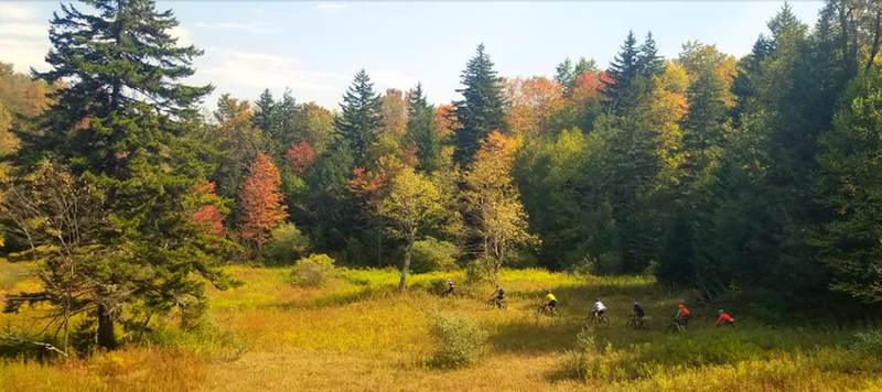 Charles Creek Trail in the Fall.  Photo by Mike Boyes